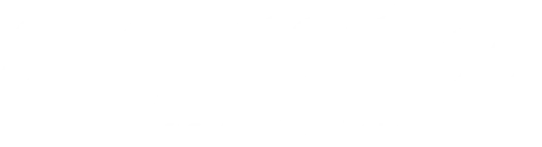 logo footer
